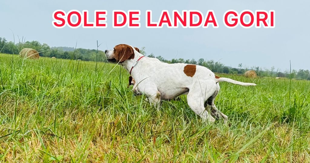de landa gori - SOLE DE LANDA GORI/Entraînement...
