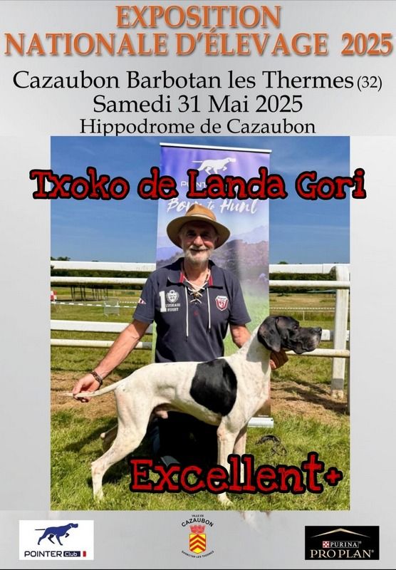 TXOKO DE LANDA GORI / Nationale ELEVAGE / 2025