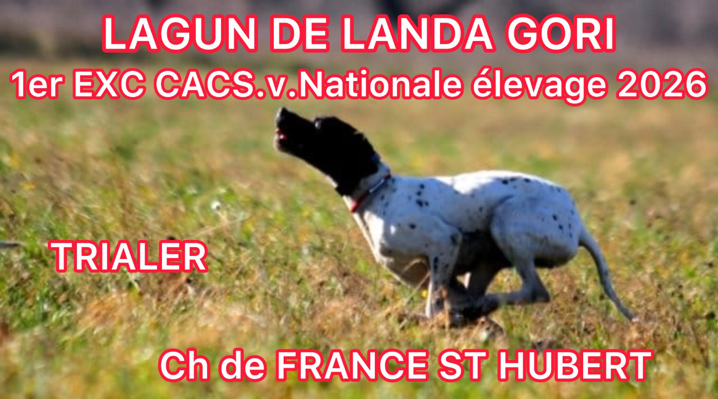 POINTERS DE LANDA GORI 93
